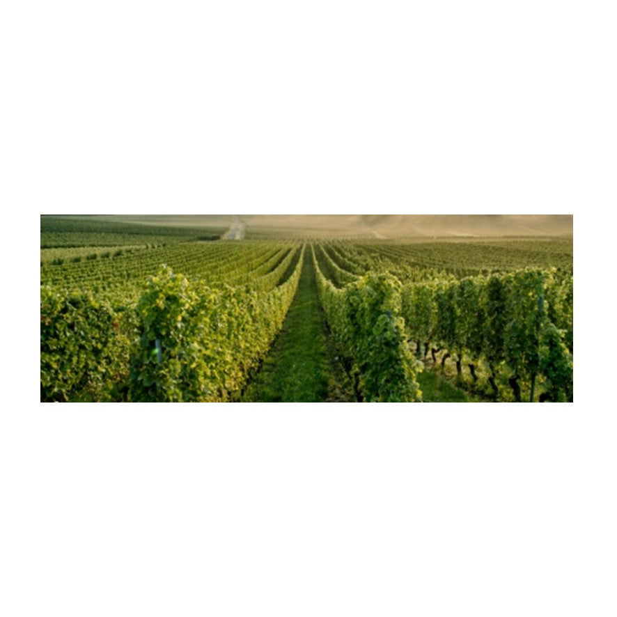 Geomax Fencing and Vineyard Laser Alignment Theodolite